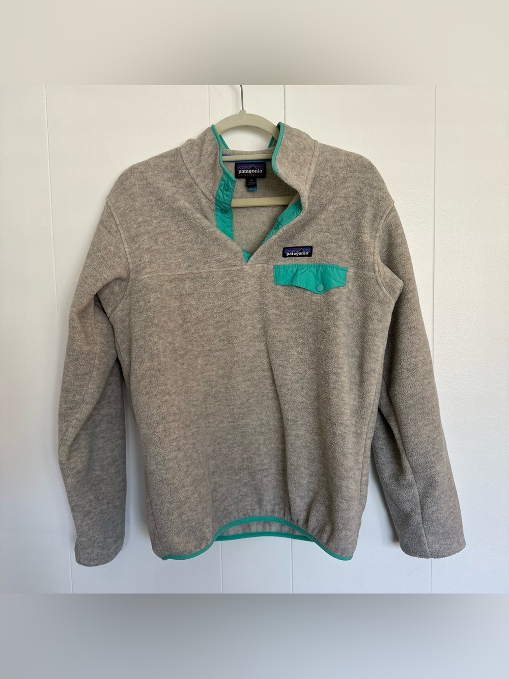 Patagonia Lightweight Synchilla Snap-T Pullover